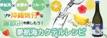 夢航海フルーツ炭酸割りレシピ